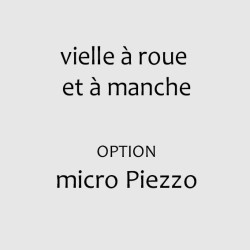 micro Piezzo interne